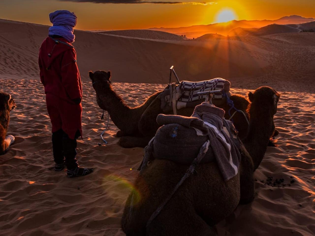 Camp Under Stars (Adults Only) Merzouga Eksteriør billede