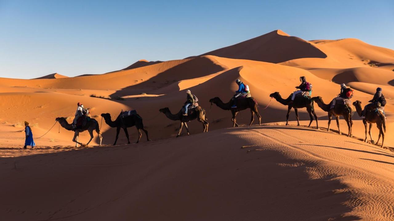 Camp Under Stars (Adults Only) Merzouga Eksteriør billede