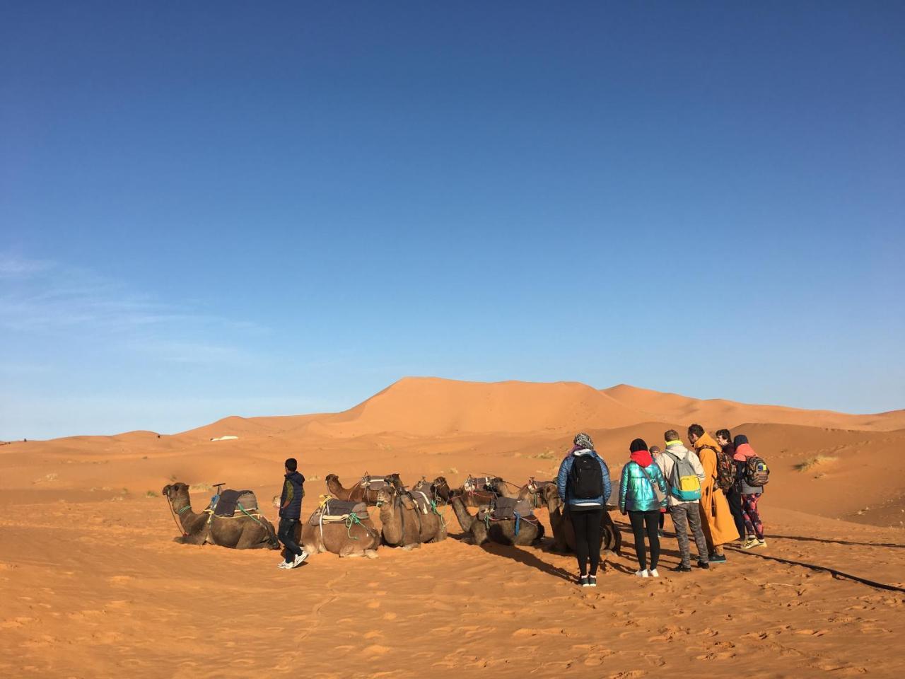 Camp Under Stars (Adults Only) Merzouga Eksteriør billede